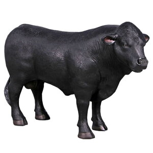  IuWF AKXE^E CeA Cxg fBXvC   EV