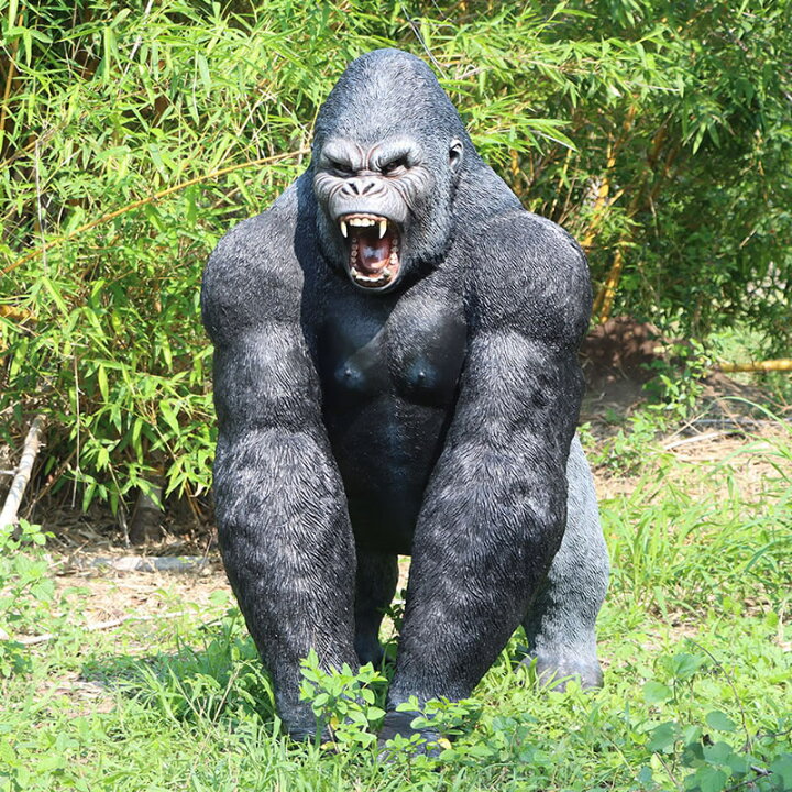 楽天市場】動物 オブジェ 夜叉のように牙をむき出しにするゴリラ 