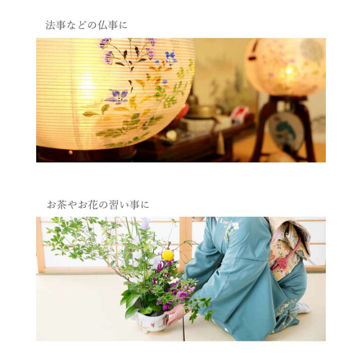 正座椅子 折りたたみ 携帯 楽々正座いす 軽量 コンパクト おしゃれ クッション Gracious 正座椅子 折りたたみ 携帯 楽々正座いす 軽量 コンパクト おしゃれ クッション