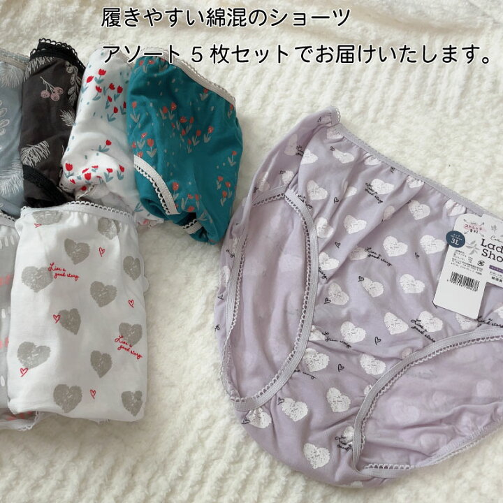 楽天市場】ショーツ スタンダード M L LL 3L 4L5L 綿 100％ 6枚、5枚 