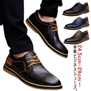 ܎O hV̓ JWA C 傫TCY rWlX Ў TCY amC Ǝ X[cp Xg[g`bv V[Y