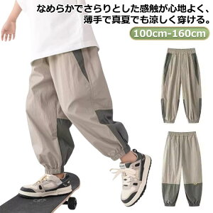 悯pc  WjA ڐG⊴ Y{ ̎q   Opc X|[cEFA g[jO  ʊw q