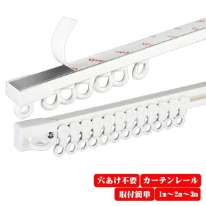 ʕt 1m S   tȒP Ǖt A~ J[e SJ[e[ ysvzJ[e[