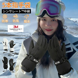 [u XL[ ] ~ h h EB^[X|[c  g X}zΉ N XmO[u ~p XL[pi