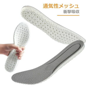 jO X|[c rWlX _炩 ɂ d C SC gAbv Y fB[X ~  C CPApi