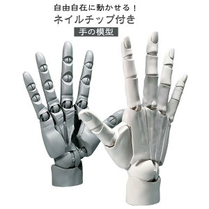 ȂX^ht nhf lC`bvt 1/1  E R L  oCIjbNw֐ Aj fbTpf̔