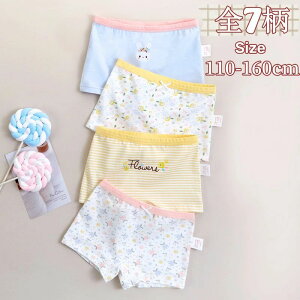 S7×4Zbg 4g ̎q  LbY V[c u[t Rbg 95% {NT[V[c pc Ci[  ̎q