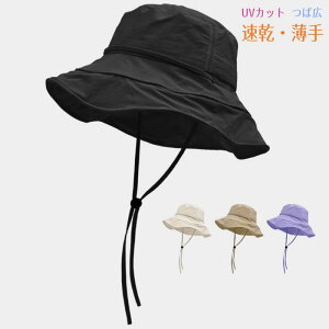 Xq nbg fB[X  Chu  UVJbg Xq ΍L  y ʋC Ȃ AEghA C O΍