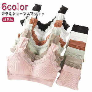 u V[c ㉺Zbg uW[ V[cZbg [X Ci[  fB[X w WjA Z mC[u