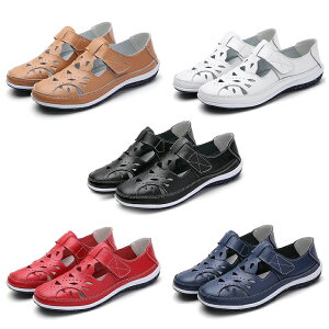 RtH[gV[Y fB[X L h CTCht@Xi[t EH[LOV[Y fB[X C JWAV[Y