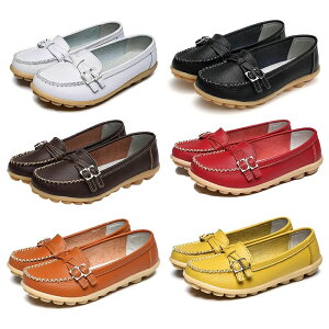 fB[X JVV[Y {v _uxg [t@[ i[XV[Y ₷ O Ōt C tbgV[