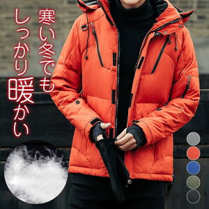 _EWPbg _ER[g Y _bN_E WPbg t[ht  h AEghA g H~ 傫TCY 