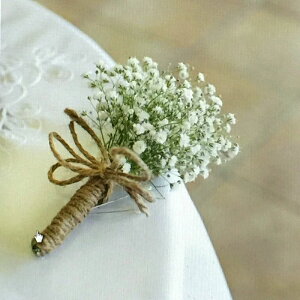 u[gjA  ݑ VYu[gjA EFfBO hCt[  ԉ EGfBO uC_p EFfBO