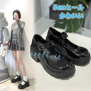  [t@[  fB[XC 5cmq[ ʊwtH[}C w[t@[ q[t@[ tH[} V[Y q[