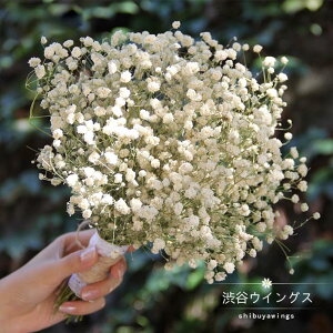 EGfBOu[P ݑ EFfBOu[P  uC_u[P ԉ u[P Nb`u[P  񎟉 hCt