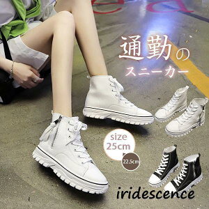 Xj[J[ fB[X ₷ JWA ^ t@Xi[t nCJbg ɂȂ AEghA  ʋC R hL