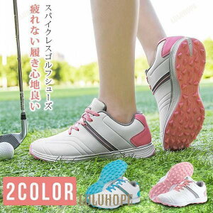 StV[Y fB[X V[Y XpCNX C ʋC  h Xj[J[ C L XpCNXStV[Y