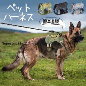  n[lX S ybg  Ȃ hbO L ~^[ ^ ^ ʋC ȒPE ߉\  U o