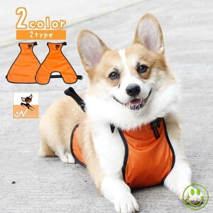 Gv CGv XS-L ybg ^ ^ pi U D D͂˗\h N h΍ h Vv