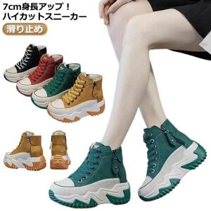 fB[X 7cmq[ Xj[J[ nCJbg C  ~ fB[XC Xj[J[ V[Y JWA 