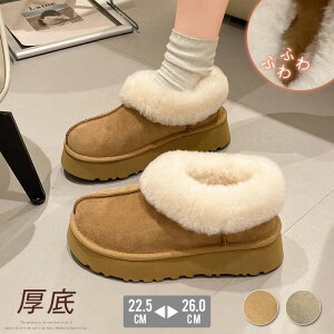 [gu[c fB[X  ~j  V[gu[c H ~ h ꃀ[g 傫  s  J W[ 