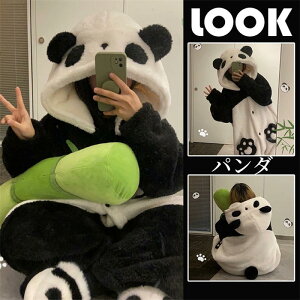 pW} p_ Jso ~co` ACO} [EFA  ѕz  yApW}  ~p ㉺Zbg 