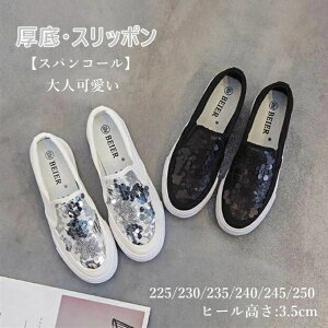 Xj[J[ fB[X C  Xb| XpR[  ꂢ l lJWA r  ʋ t ĕ t@bV 