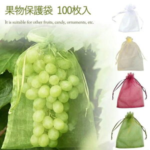 Ԃǂ 񂲑 ʕlbg 100 ʕ یlbg h lbg 悯 悯lbg т  C`S Ԃǂ ʎph