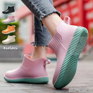  CV[Y fB[X TChSA V[g Cu[c Sh V[gC V[gu[c C u[c J