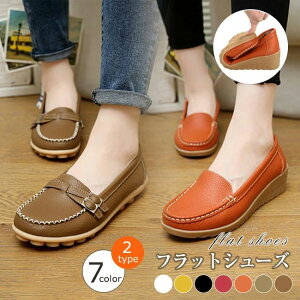  [t@[ pvX tV fB[X ₷ [q[ y ؂ tbg  _炩 傫TCY