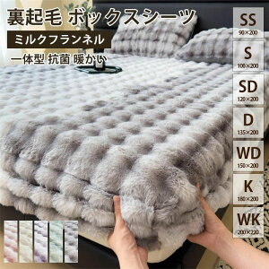 {bNXV[c  H~p ڐG }CNt@Co[ N єɂ C xbhV[c xbhJo[ }b