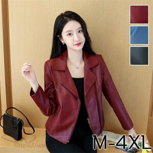 U[WPbg U[ {v fB[X ~ V[g C_[XWPbg `FX^[R[g vW U[R[g {