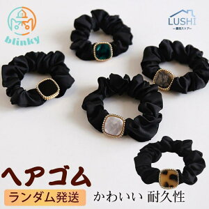 wAS wAANZT[ VN nhCh l  킢 ϋv K[[ wAAW Vv ؍  l  