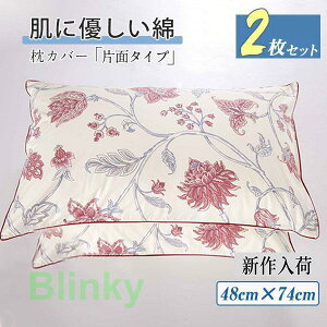 Jo[ s[P[X 2Zbg 􂦂 ґ l Y fB[X Жʃ^Cv Q K Vv v[g F ԕ