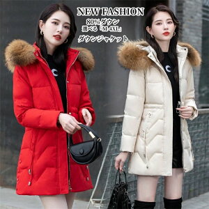 uiǂv_ER[gh g AE^[ H~ ~hR[g ̌^Jo[ t[ht 80%_E H~AE^[ _EWPbg fB[X R[g tFCNt@[ LeBOR