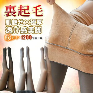 N ^Cc  ɒg 1200fj[ g h fB[X f Č tFCN^Cc   r Xgb`