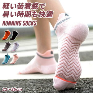  jO \bNX X|[c \bNX fB[X C ~ u\bNX N[\bNX u X|[c\bN