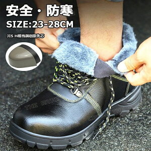 h ~C Y  kC Xm[V[Y Xm[u[c Y Ȃ h Xm[u[c fB[X Xm[u[c fB