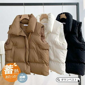 _ExXg fB[X xXg ~M h H ~  g y ȓ ȃxXg _EWPbg m[X[u