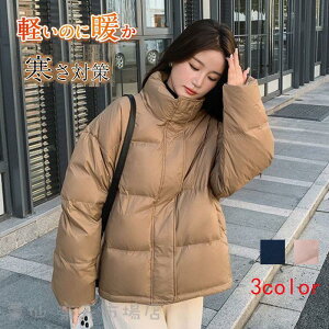  V[g _ER[g  fB[X ~ g {A h _EWPbg JWA ΍ V[g R[g