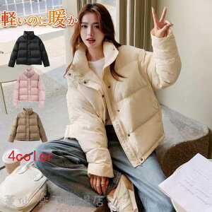  V[g _ER[g  fB[X ~ g {A h _EWPbg JWA ΍ V[g R[g