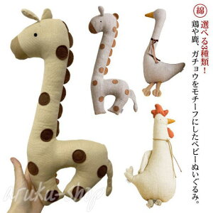    ܂ Aj}  VJ ʂ ʂ Ԃ 킢  Rbg xr[ a { K`E