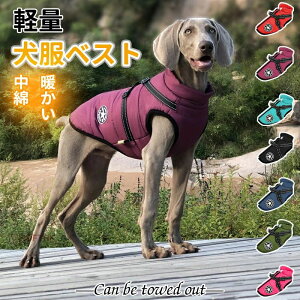  ~ ~p ~ H ^ ^ g h R[g WPbg ̕  hbOEFA _E AE^[  ^