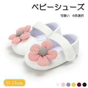 xr[V[Y tH[} C t@[XgV[Y ̎q ͂ 6FI j Ԃ 11cm 12cm 13cm  Bep xr[C