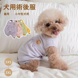 p㕞 p Lp ^p 4COLOR ̎q p lr p㒅 pEFA r߂Ȃ GUxXɑ D  p 