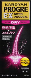【第3類医薬品】カロヤンプログレEX　DRY　120ml