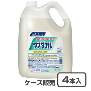 yH܁zԉ _t Ɩp4.5L×4{@iP[X̔j