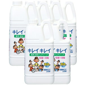 y􂢐܁zLCLCpt̃nh\[v2L×6{iP[X̔j