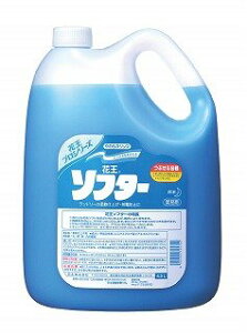 y_܁z炩X ԉ\t^[4.5L