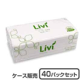 【ペーパータオル】リビィ エブリデイペーパータオル レギュラー1ケース（大容量300枚×40個入 ）